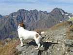 Salita al Pizzo Tre Confini (12 ottobre 08)   - FOTOGALLERY